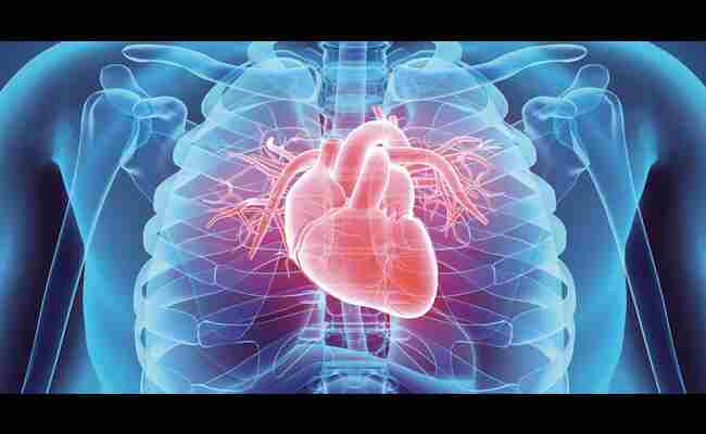 How Long Can A Heart Attack Last 2023 Best Info