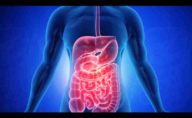 How To Clean Your Stomach And Intestines Naturally 2023 Best Info